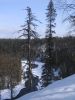 Kuusamo_200803_10.jpg