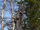 Kuusamo_200803_20.jpg