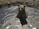 Ranua_Zoo_2008_014.jpg