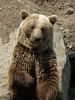 Ranua_Zoo_2008_015.jpg