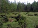 20080618_0096.jpg