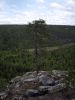 20080618_Korouoma_0047.jpg