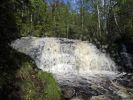 20080620_0076.jpg
