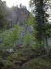 20080620_Olympus_0071.jpg