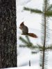 20120401_Ranua_elainpuisto_0410.jpg