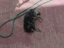 PICT0020.JPG