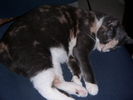 PICT0039.JPG