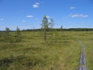 Peuranpolku_0015.jpg
