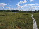 Peuranpolku_0137.jpg