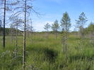 Peuranpolku_0249.jpg
