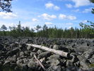 Peuranpolku_0966.jpg