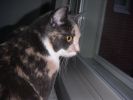PICT0032.JPG