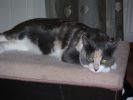 PICT0093.JPG