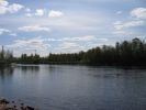 Tervaholkka_1715.jpg