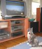 Vappu_2006_148.jpg