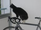 kaapo_200606_001.jpg