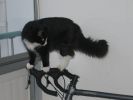 kaapo_200606_006.jpg